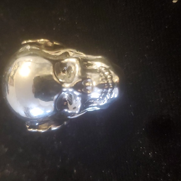 New Silver Titanium Skull Pendant. - Picture 3 of 12